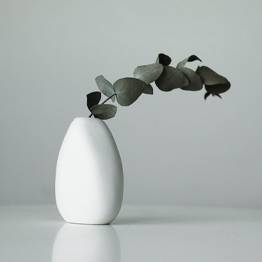 Your Product Name Full Title11