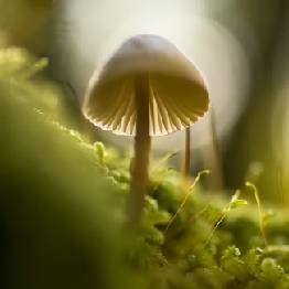 Your Product Name Full Title5