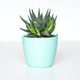 Your Product Name Full Title6