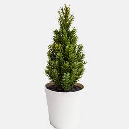 Your Product Name Full Title8