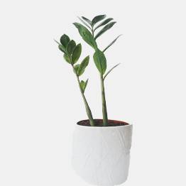 Your Product Name Full Title9